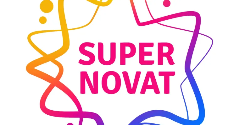 Vertaisuuteen perustuva ryhmätoimintamalli asunnottomuutta kokeville, rikos- ja päihdetaustaisille naisille (Supernovat)