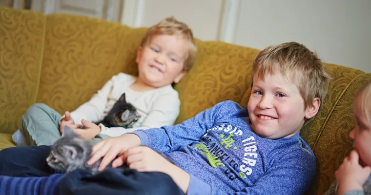 Tukiperhetoiminnan koordinaatiorakenne, Pohjois-Pohjanmaan hyvinvointialue (RRP2, pilari 4, inv. 1)