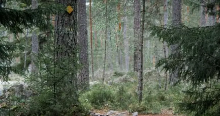 Työttömien terveystarkastusten kehittäminen, Pohjois-Savon HVA (RRP, P3)