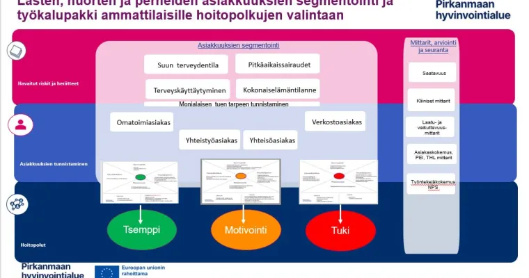 Suun terveydenhuollon lasten ja nuorten asiakassegmentoinnin toimintamalli ja ammattilaisten työkalut hoitopolkujen valintaan, Pirkanmaan hyvinvointialue (RRP, P4,I1)