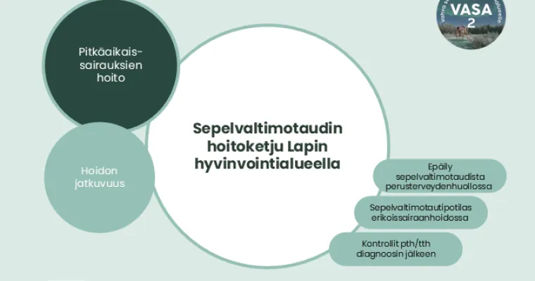 Sepelvaltimotautipotilaan hoitoketju Lapin HVA (RRP, P4, I1, I3)
