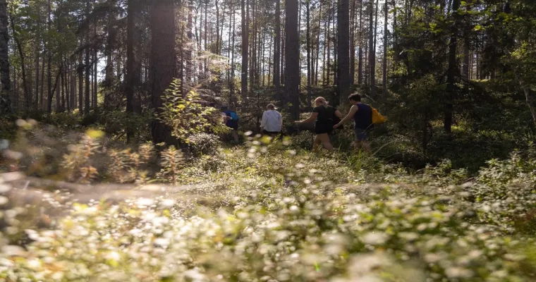 Työkoordinaattorin tehtävänkuva