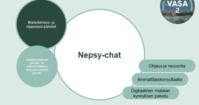 Nepsy-chat, Lapin HVA (RRP, P4, I1, I4)