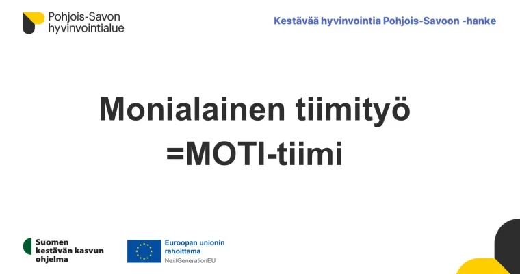 Monialaisen tiimityön käyttöönotto, Pohjois-Savon hyvinvointialue (RRP, P4, I1)
