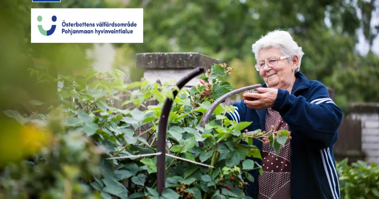 Hyvinvointiranneke apuna ikääntyneiden etäkotikuntoutuksessa (RRP, P4, I1)