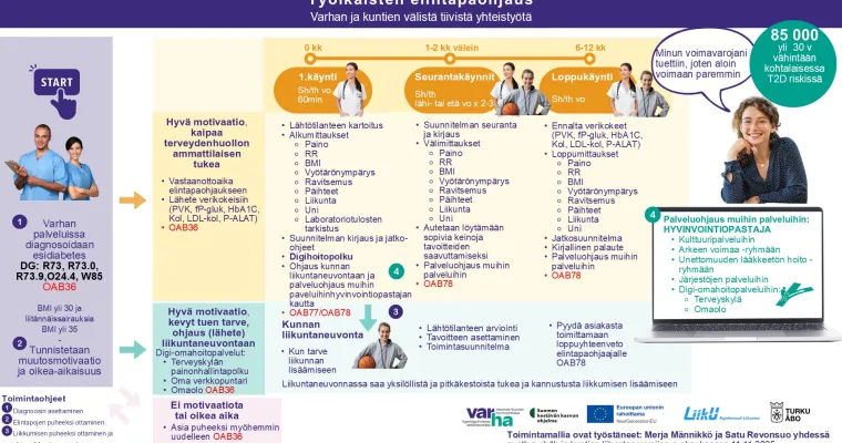Työikäisten elintapaohjaus-liikuntaneuvonnan toimintamalli, Varsinais-Suomen HVA  (RRP, P4, I2)