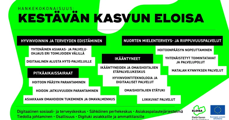 Etelä-Savon hyvinvointialue-Suomen kestävän kasvun ohjelma