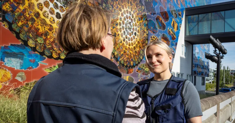 Sosionomin ja sosiaalityöntekijän työnjakopilotti, Etelä-Savon hyvinvointialueella (Hyvän työn ohjelma 2)