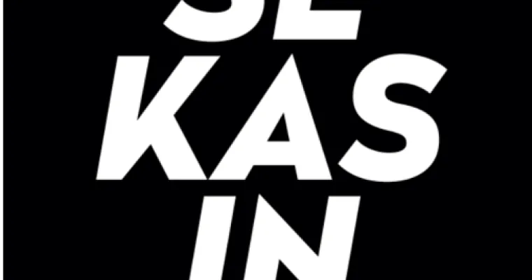 Sekasin-chat pilotti Pirkanmaan hyvinvointialueella, Pirkanmaan hyvinvointialue (RRP, P4, I1)