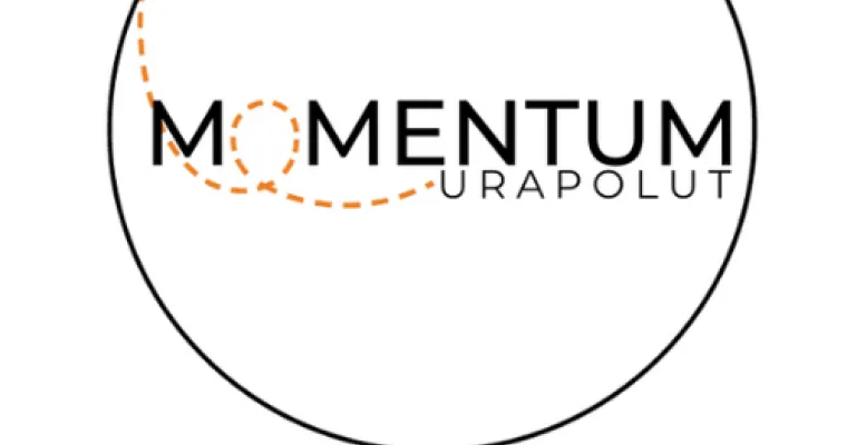 Momentum-hankkeen työhönvalmennuksen malli