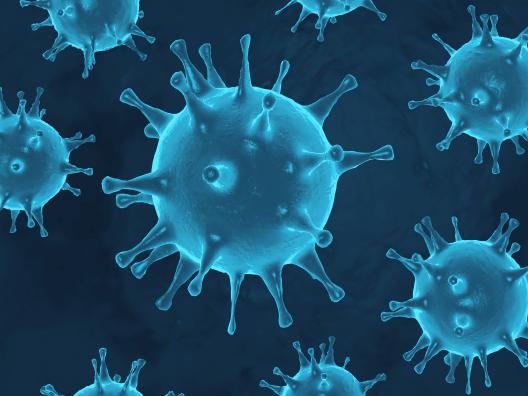 Korona-virus-kuva
