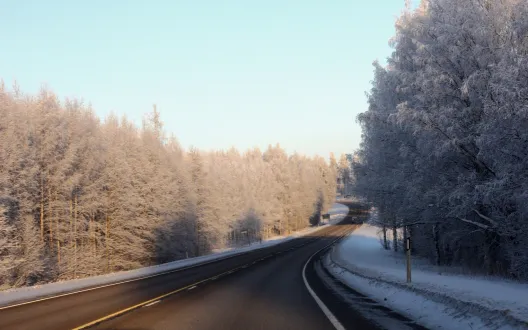 Kuva tiestä.