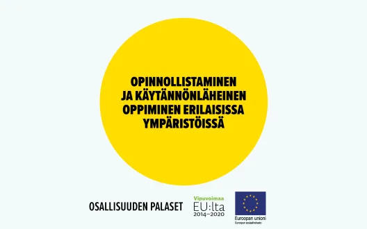 Opinnollistaminen ja käytännönläheinen oppiminen erilaisissa ympäristöissä