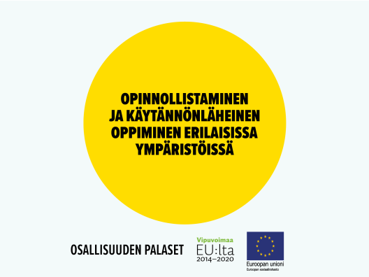 Opinnollistaminen ja käytännönläheinen oppiminen erilaisissa ympäristöissä