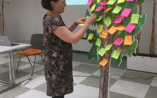 Development tree in Mikkeli 2018 