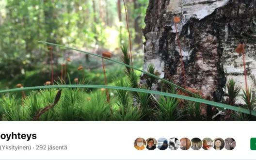 Kuvassa Luontoyhteys-Facebook-ryhmän kansikuva.