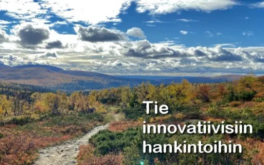 Tie innovatiivisiin hankintoihin