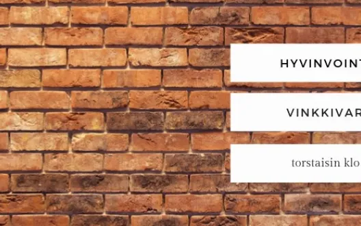 Vinkkivarikko guide 