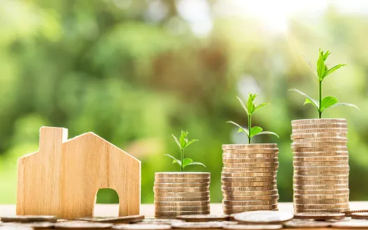 home, income