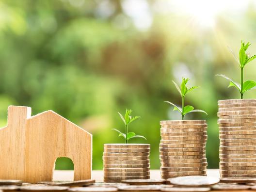 home, income
