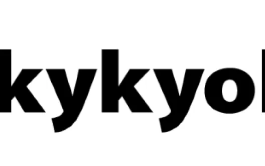 Työkykyohjelma