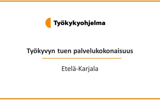 Kansikuva, jossa teksti Työkyvyn tuen palvelukokonaisuus