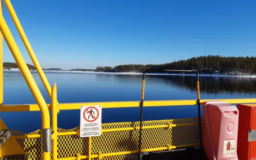 Etelä-Savon Tulevaisuus kotona hanke