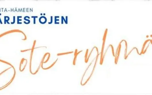 Järjestöjen sote-ryhmä -teksti