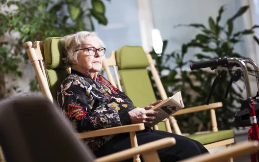Ikääntyneiden kotiin annettavien palvelujen kehittäminen