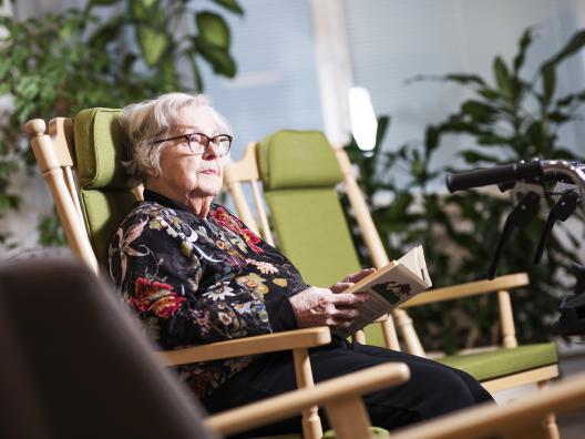 Ikääntyneiden kotiin annettavien palvelujen kehittäminen