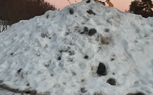 Suun terveydenhuollon Huolitiimi