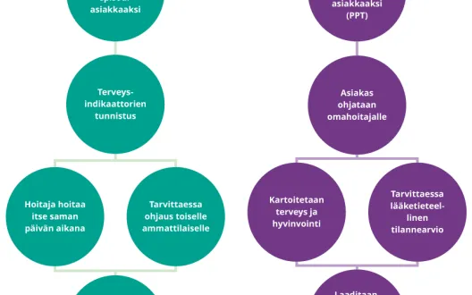 Kulkukaavio, jossa kuvataan episodiasiakkaan ja pitkään palveluita tarvitsevan asiakkaan hoitoketju.