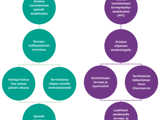 Kulkukaavio, jossa kuvataan episodiasiakkaan ja pitkään palveluita tarvitsevan asiakkaan hoitoketju.