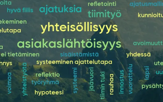 Mielleyhtymiä systeemisestä toimintamallista