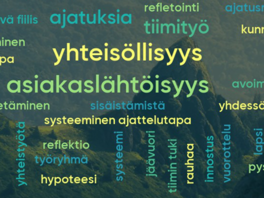 Mielleyhtymiä systeemisestä toimintamallista