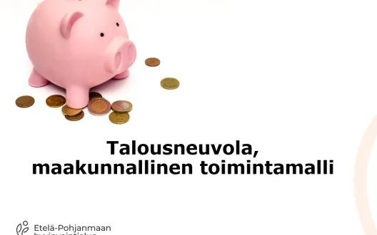 Talousneuvola