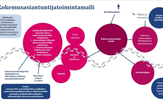 Kuva_kokemusasiantuntijatoimintamalli
