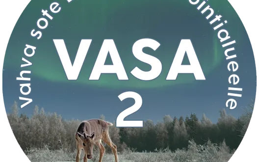 Vasa-hankkeen logo