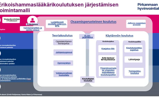 Erikoishammaslääkärikoulutuksen järjestämisen toimintamalli Pirkanmaan hyvinvointialueella