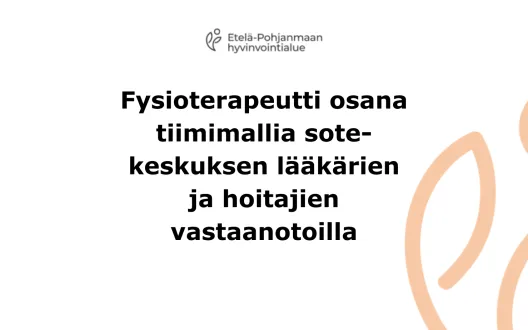 Fysioterapeutti osana vastaanottotiimiä kuva