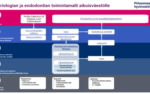 Kariologian ja endodontian toimintamalli Pirkanmaan hyvinvointialueella