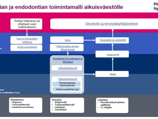 Kariologian ja endodontian toimintamalli Pirkanmaan hyvinvointialueella