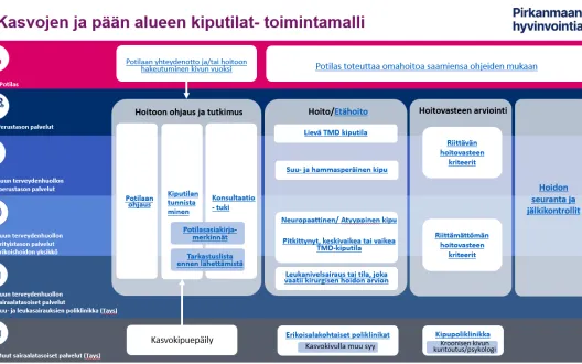 Kasvojen ja pään alueen kiputilat- toimintamalli Pirkanmaan hyvinvointialueella