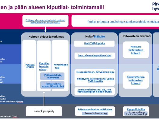 Kasvojen ja pään alueen kiputilat- toimintamalli Pirkanmaan hyvinvointialueella