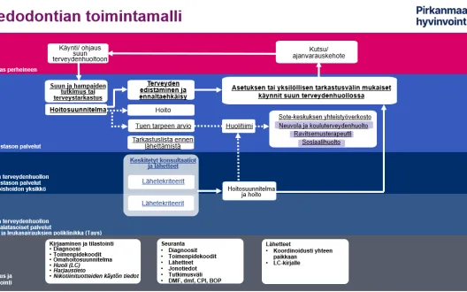 Pedodontian toimintamalli Pirkanmaan hyvinvointialueella