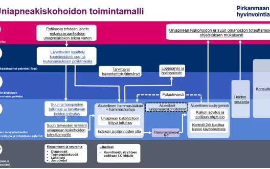 Uniapneakiskohoidon toimintamalli Pirkanmaan hyvinvointialueella