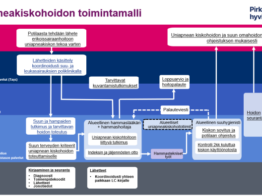 Uniapneakiskohoidon toimintamalli Pirkanmaan hyvinvointialueella