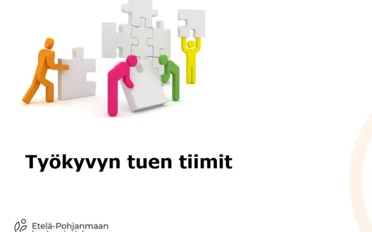 Työkyvyn tuen tiimit
