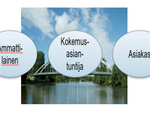 Kokemusasiantuntija tulkkina ammattilaisen ja asiakkaan välissä.