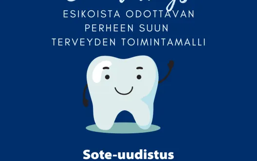 Suun terveys esikoista odottava
